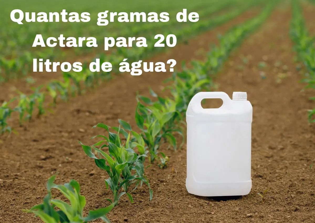 Quantas gramas de Actara para 20 litros de água